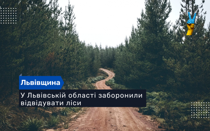 У Львівській області заборонили відвідувати ліси