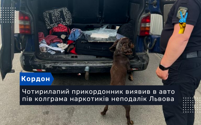 Чотирилапий прикордонник виявив в авто пів колграма наркотиків неподалік Львова